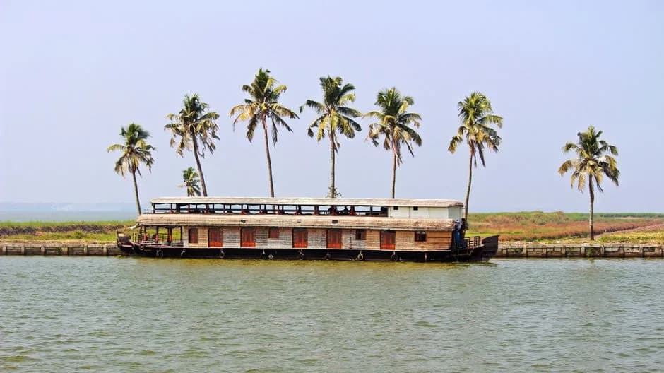 Scenic view of a houseboat and palm trees on the Kerala backwaters during daytime