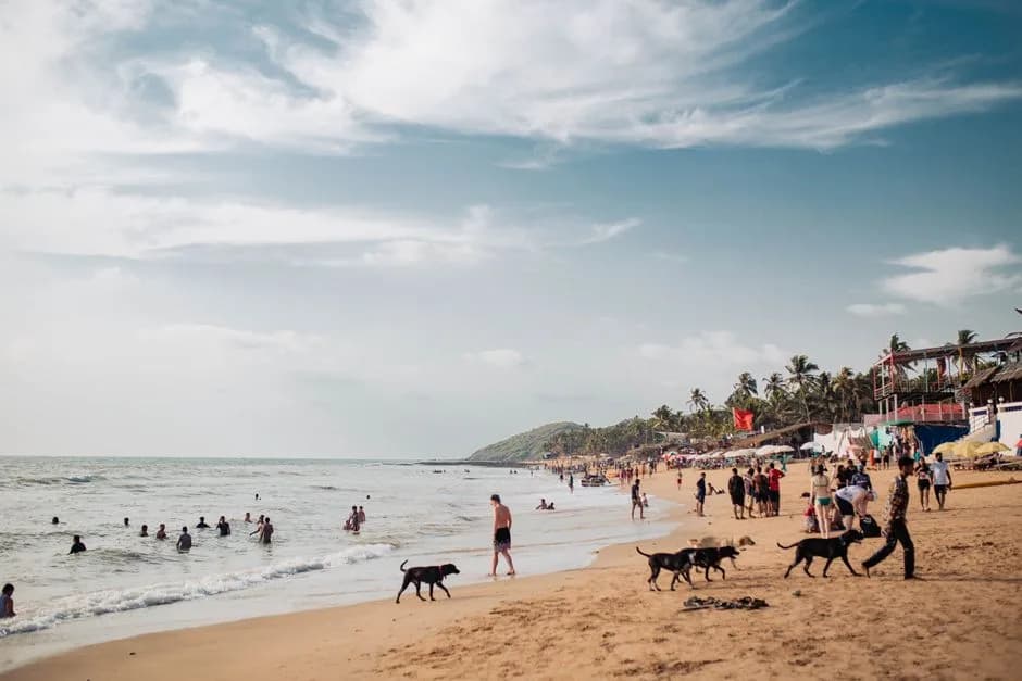 Bustling Baga Beach in Goa with people enjoying the sea on a sunny day