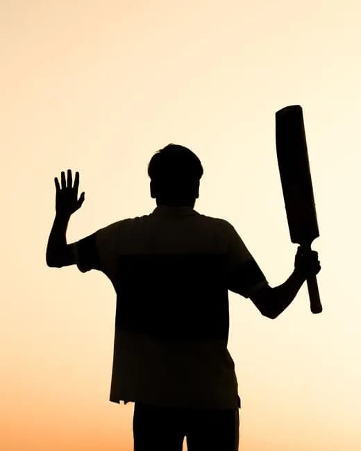 Silhouette of a person holding a cricket bat against a warm sunset sky in India